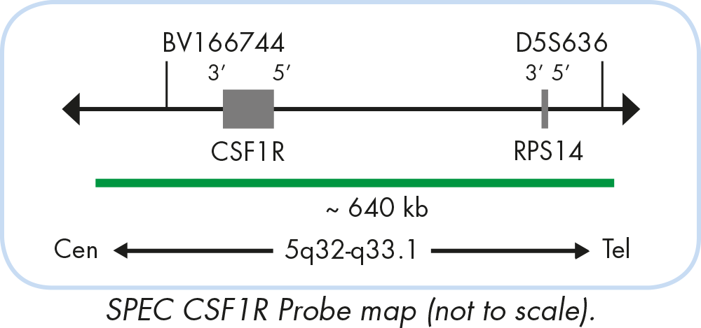 TCEC S25 SF25 LcZero vs Stockfish. Trust Things To Be Done