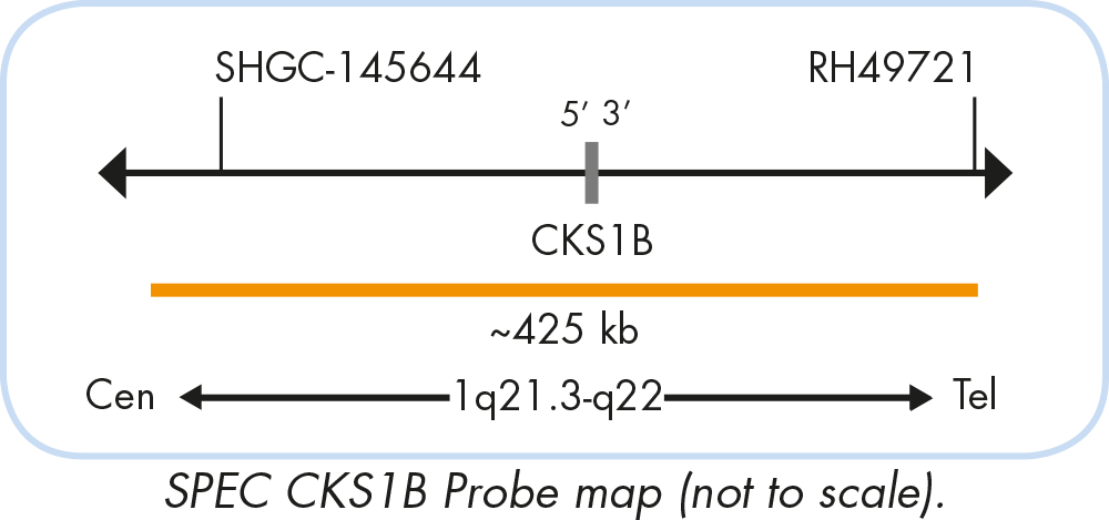 ProStak™ V2 22oz - Cobalt